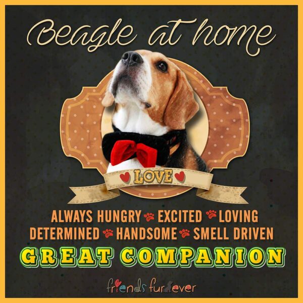 Beagle Doorsign - Image 4