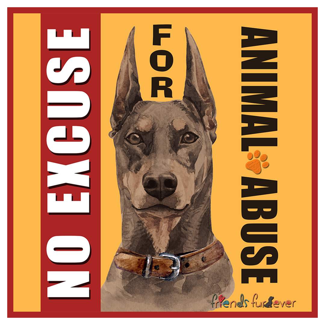 No Excuse for Animal Abuse Sticker - Friends Furever