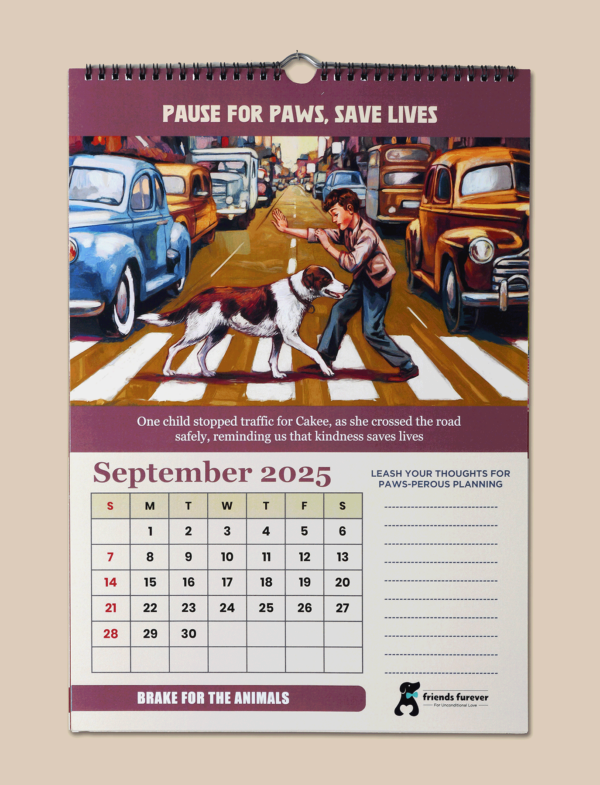 Paws and purpose for every wall: Fur-filled joy for every month of 2025! - Image 7