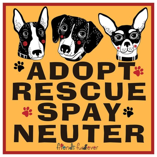 Adopt, Rescue, Spay, Neuter Sticker