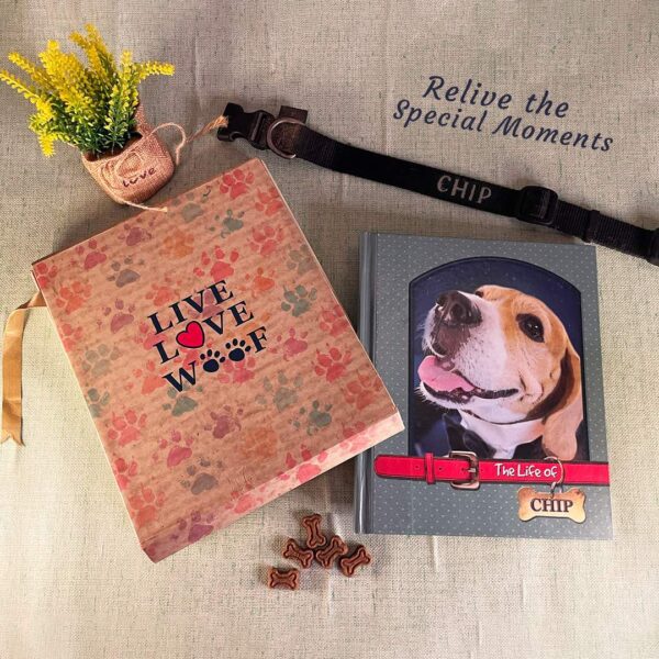 Friends Furever Photobook